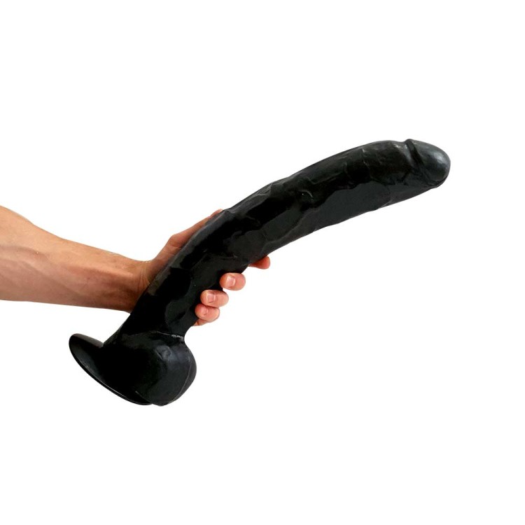 2441