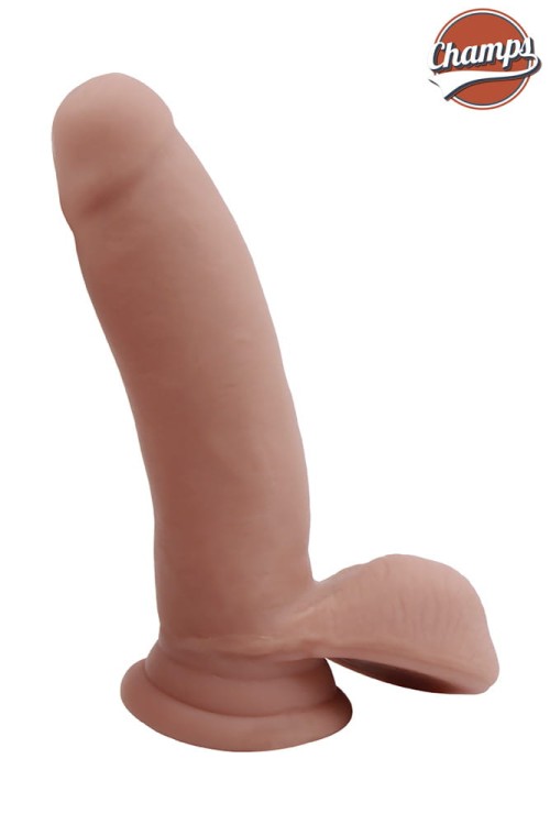 26066