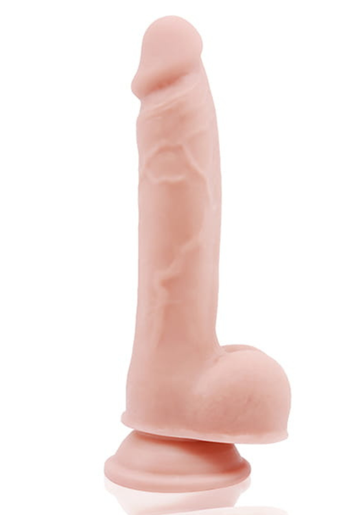 26198