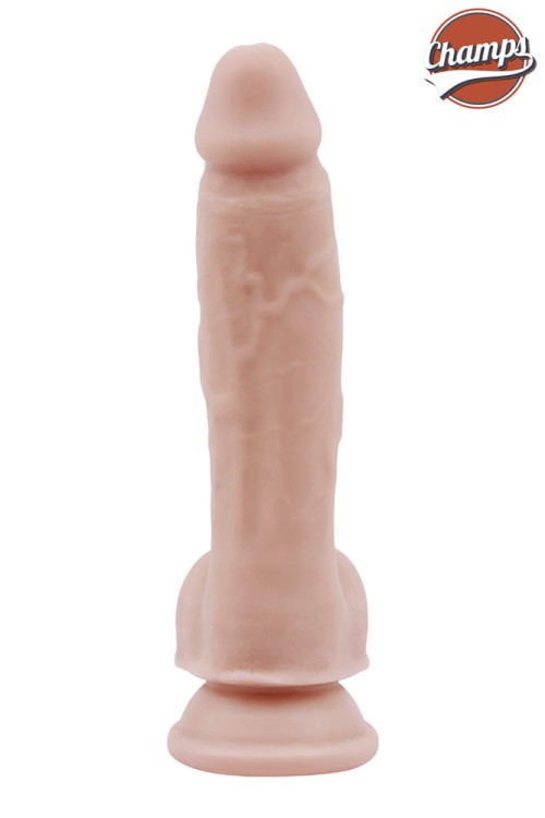 26073