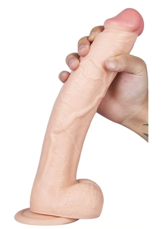 28831