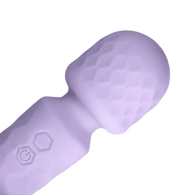 31559